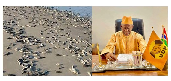 UDP STATEMENT ON THE ENVIRONMENTAL DISASTER IN THE WEST COAST REGION - HCNTimes.com