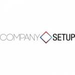 Company Setup Consultants profile picture