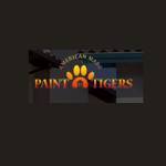 PAINT TIGERS Profile Picture