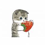 SamuelHayes Profile Picture