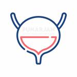 BladderCancerTreatments Vijyawada Profile Picture