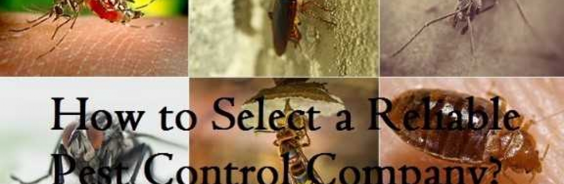 envirosafe pestcontrol Cover Image