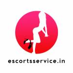 escort service in noida Profile Picture