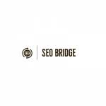 SEO Bridge Profile Picture