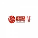 seeds innocens Profile Picture