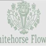 Whitehorse Flowers profile picture