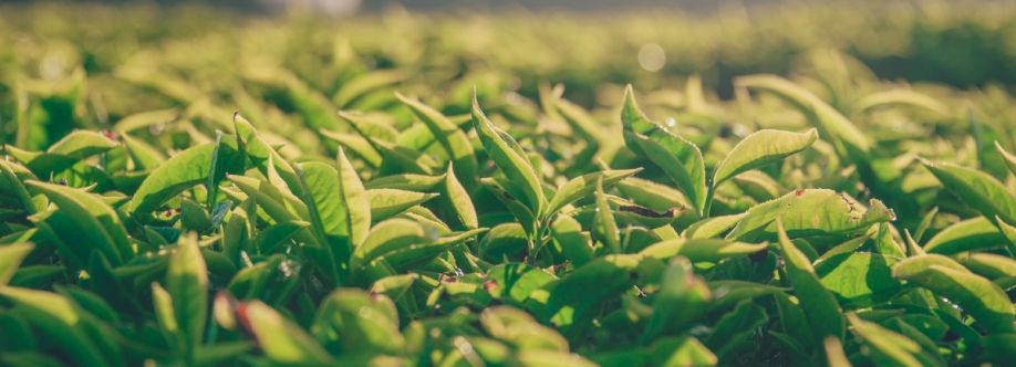 Ag Tech Cover Image