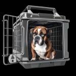 dog carrier Profile Picture