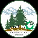 needleleaf foundation Profile Picture