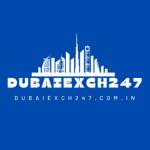 Dubaiexch 247 Profile Picture