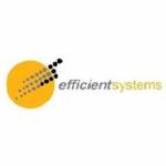 Efficient Systems Pte Ltd Profile Picture