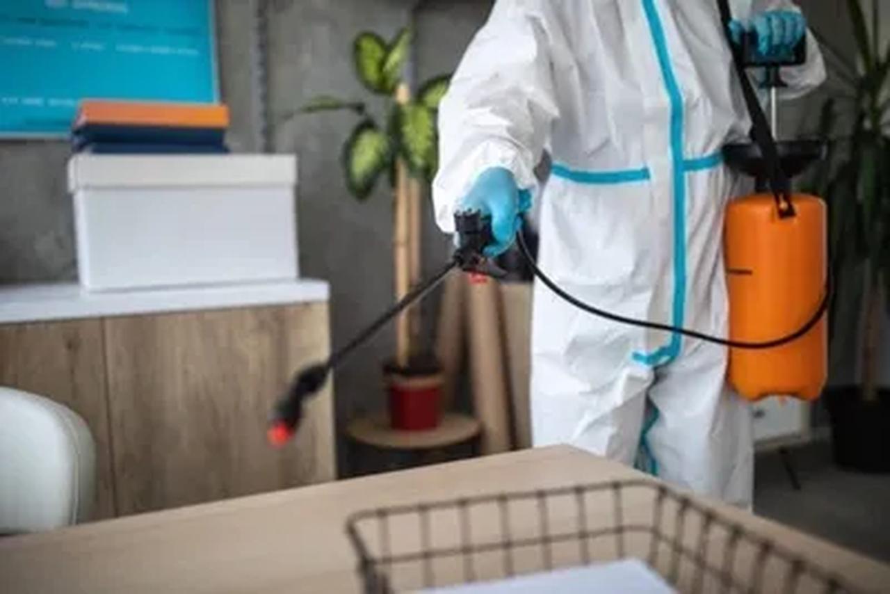 How to Choose the Best Home Pest Control Spray for Every Insect Type? | Articles | Little Game Hunters | Gan Jing World - Technology for Humanity | Video & Movie Streaming