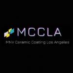 MNV CAR DETAILING Profile Picture