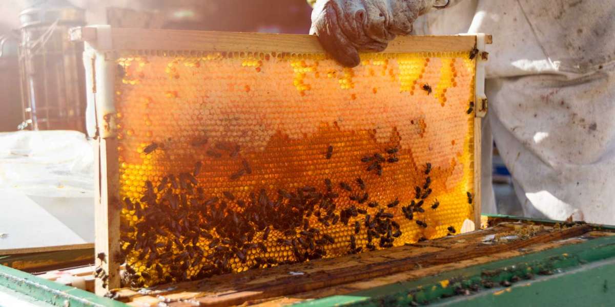Effective Beehive Monitoring System: Smart Tips to Keep Ants Out & Monitor Bee Health