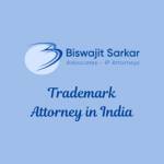 Biswajit Sarkar Profile Picture