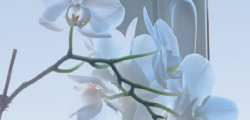 Residential Audio Video Integration & Smart TV Installation Services in San Francisco
