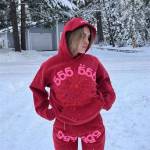 sp5der hoodie Profile Picture