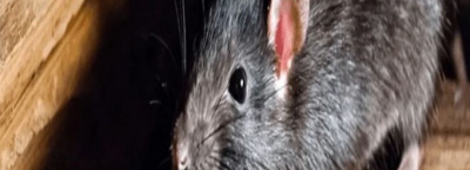 ratpest controlperth Cover Image