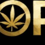 dopethc Profile Picture