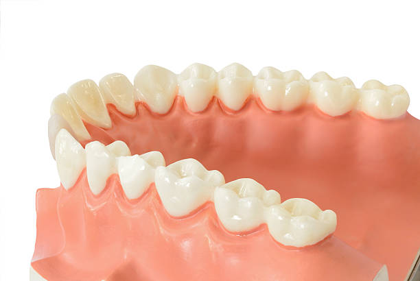 Affordable Orthodontic Care for Every Family in Goshen, NY | Orange County Orthodontics