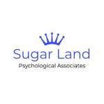 Sugar Land Psychological Associates Profile Picture