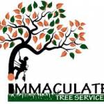Immaculate tree felling Profile Picture