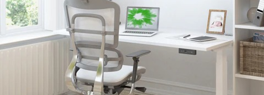 Ergo Desks Cover Image