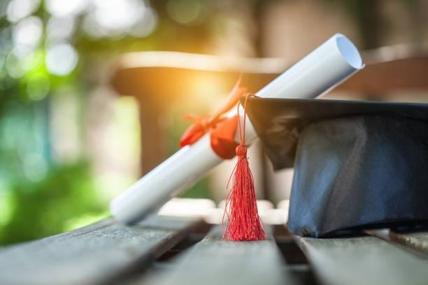 How are graduate nursing degrees revolutionizing patient care? | by Holy Family University | Medium