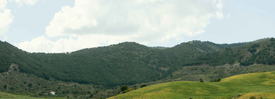 Properties in Rishikesh Cover Image