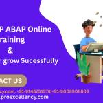 proexcellency Solutions Profile Picture
